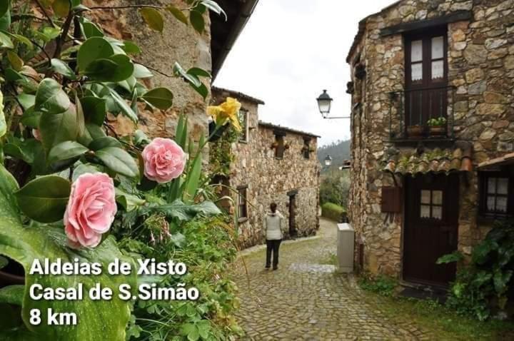 Casa Da Vila Figueiro Dos Vinhos Luaran gambar